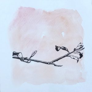 Lonely Branch, Leigh Ann Torres